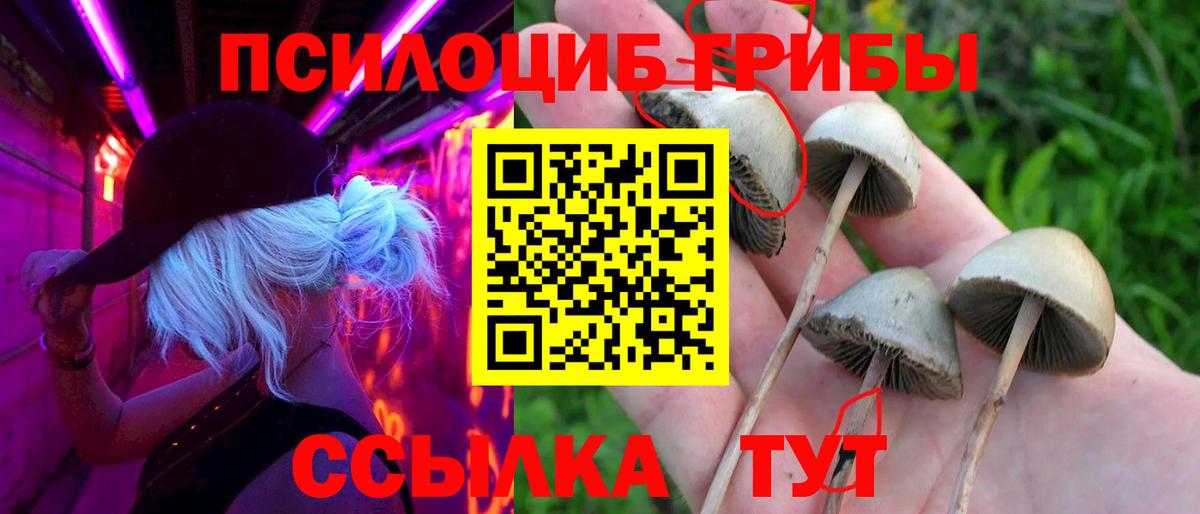 Галлюциногенные грибы Psilocybe  Вход с VPN  наркошоп  Псилоцибиновые грибы прущие грибы  Темрюк 