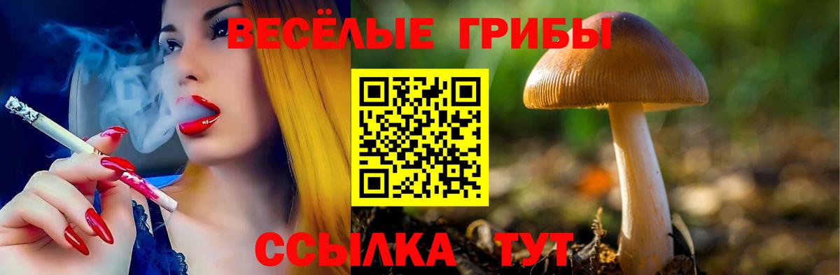 Псилоцибиновые грибы GOLDEN TEACHER Темрюк