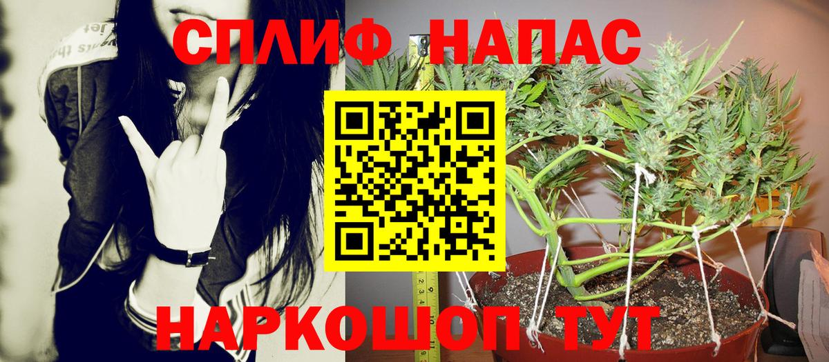 Каннабис индика  Канабис конопля  Шишки марихуана план  Марихуана THC 21%  Вход с VPN  Темрюк 